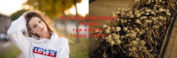дурь Алексеевка