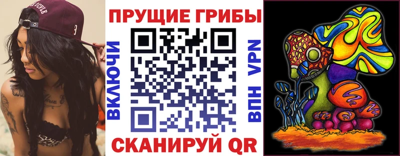 Псилоцибиновые грибы мицелий  hydra вход  Новосиль 